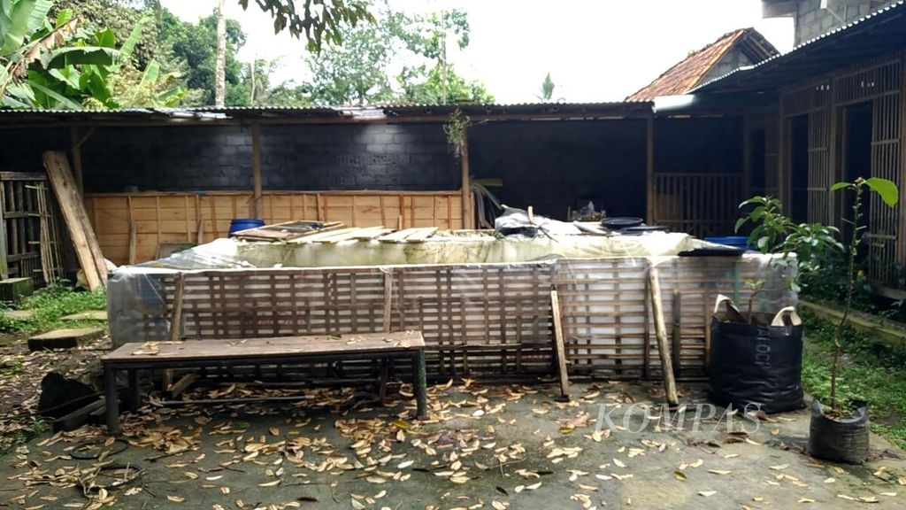 Salah satu kandang milik peternak yang mengimpor kambing saanen asal Thailand yang berlokasi di Purwokerto, Jawa Tengah, Jumat (17/6)