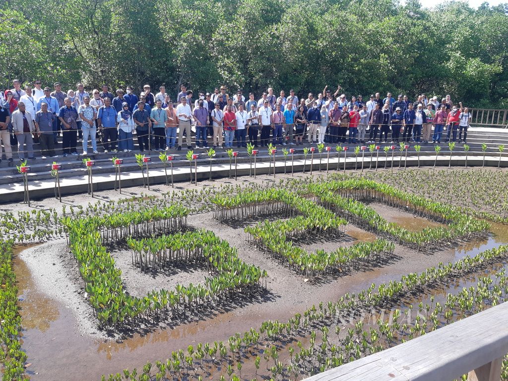 Peserta kegiatan ”Diseminasi Hasil Presidensi G20 Indonesia” melihat tanaman mangrove bertuliskan ”G20” di Taman Hutan Raya Ngurah Rai, Badung, Bali, Kamis (8/12/2022). 