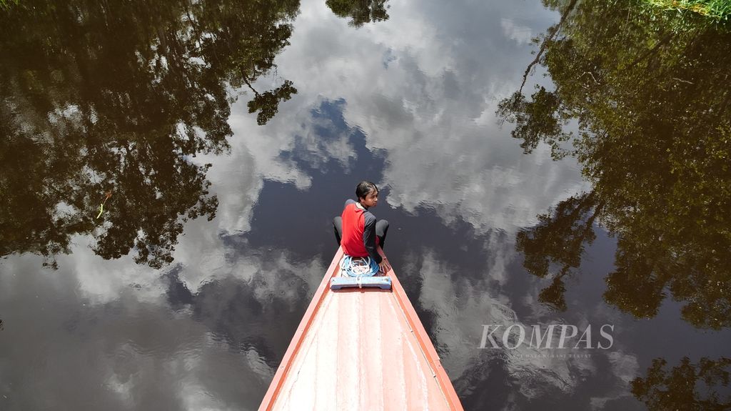 Salah satu pengunjung Taman Nasional Tanjung Puting, Pangkalan Bun, Kabupaten Kotawaringin Barat, Kalimantan Tengah. menikmati keindahan alam Sungai Sekonyer dan hutan di kanan kirinya, pada Senin (26/2/2024) lalu. 