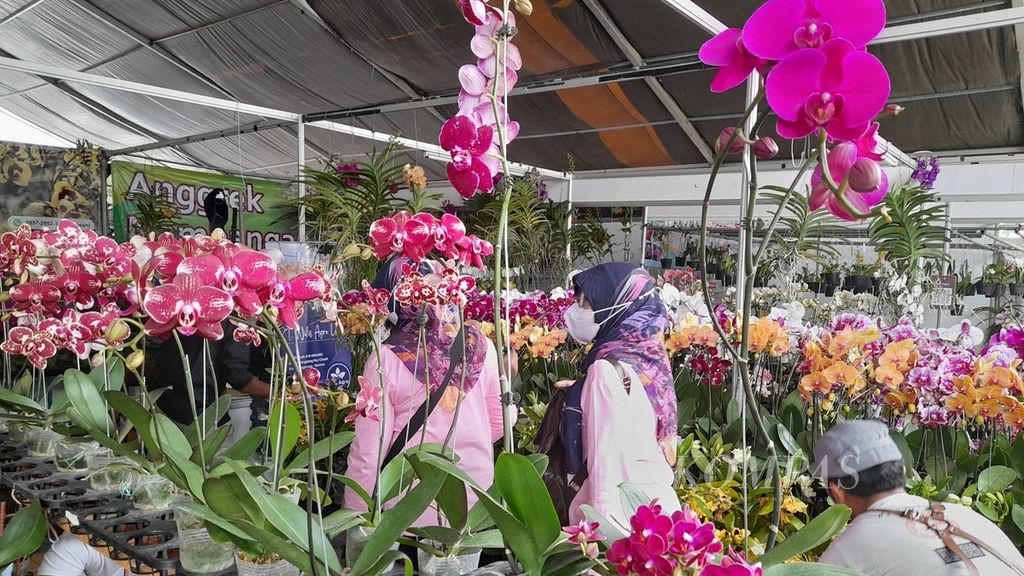 Pengunjung mengamati aneka anggrek dalam pameran Batu International Orchids Show 2022 yang berlangsung pada 24 September-2 Oktober di Balai Kota Among Tani, Kota Batu, Jawa Timur, Jumat (30/9/2022).