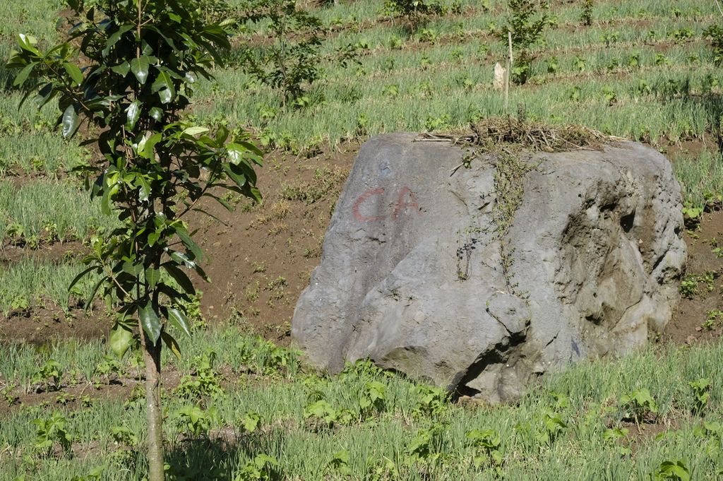 Batu bertuliskan "CA" menjadi penanda batas kawasan hutan lindung dengan cagar alam di Desa Sukarame, Pacet, Kabupaten Bandung, Jawa Barat, Sabtu (28/5/2022). Di sana, pembukaan lahan kebun sayuran meluas hingga ke kawasan hutan konservasi.
