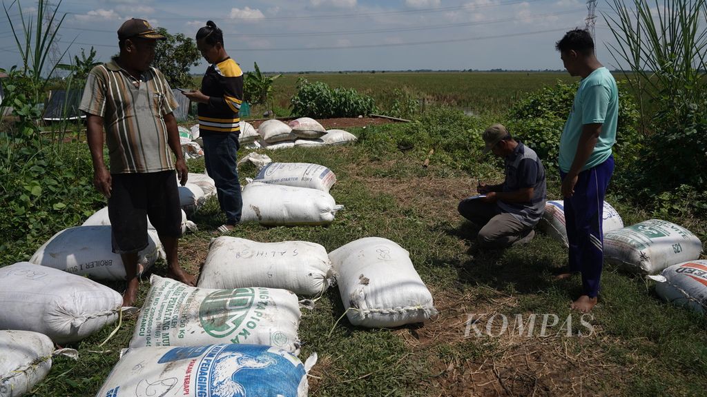 Pemilik sawah menghitung panen padi varietas Ciherang di Desa Sukamaju, Kecamatan Tambelang, Kabupaten Bekasi, Jawa Barat, Selasa (29/11/2022). 
