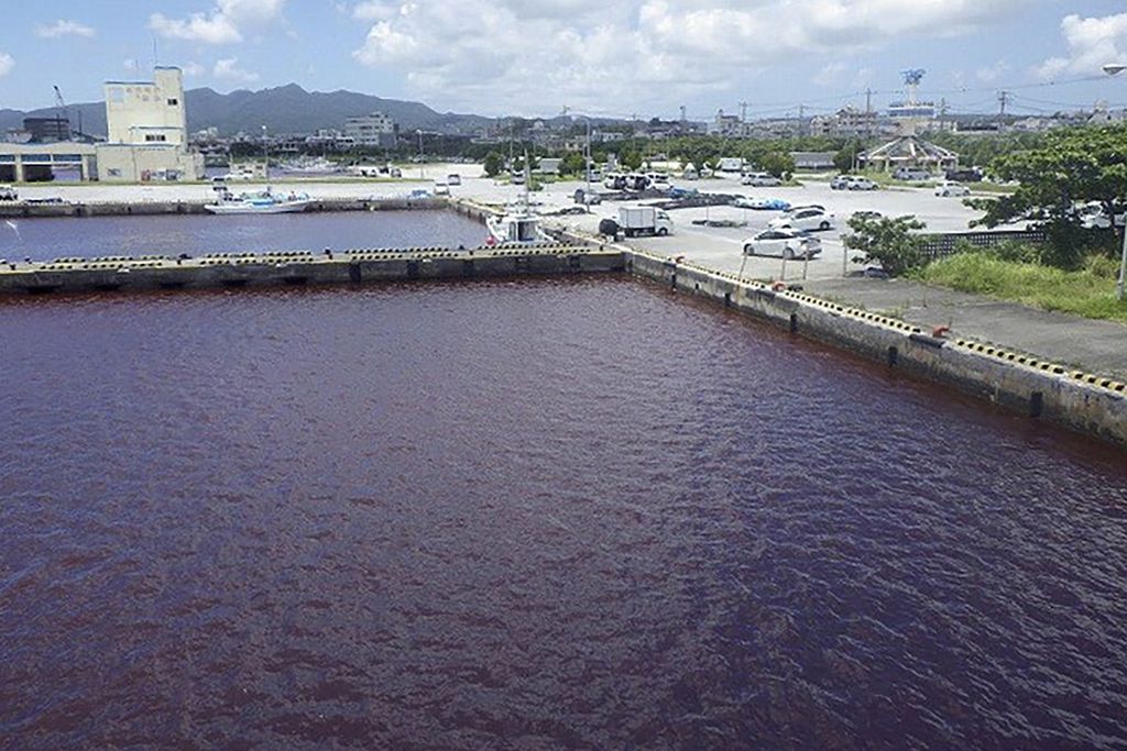 Foto selebaran yang diambil dan dirilis Markas Besar Penjaga Pantai Regional ke-11 pada Selasa (27/6/2023), ini menunjukkan sungai yang berwarna merah cairan pendingin yang digunakan dalam peralatan untuk membantu pembuatan bir bocor ke air dari tempat pembuatan bir terdekat di kota Nago, Perfektur Okinawa, Jepang. 