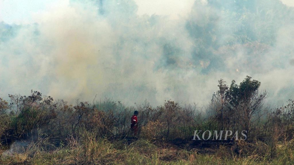 Seorang petugas pemadam dari Badan Penanggulangan Bencana Daerah (BPBD) Kabupaten Ogan Ilir, Sumatera Selatan, berupaya memadamkan api di lahan yang menghanguskan sekitar 4 hektar lahan semi-gambut di sekitar Jalan Tol Trans-Sumatera Palembang-Indralaya, tepatnya di Km 17. 