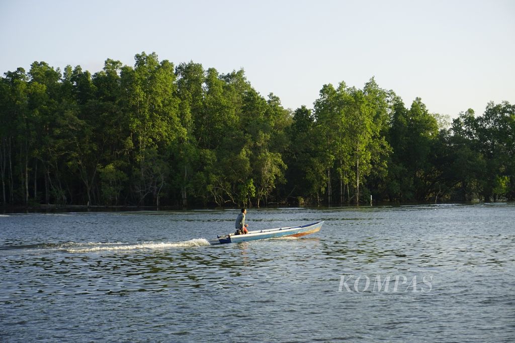 Perahu ketinting melintasi hutan mangrove di Teluk Balikpapan, Kalimantan Timur, Rabu (9/10/2019). 