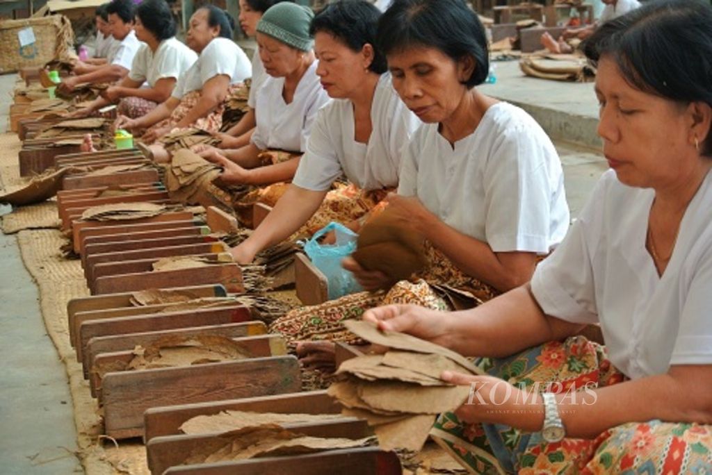 Pekerja menyortir tembakau deli hasil panenan tahun lalu di Gudang Pemeraman dan Penyortiran Kebun Klumpang, Deli Serdang, Sumatera Utara, Kamis (18/2). Perkebunan tembakau yang ada sejak abad ke-19 yang daunnya digunakan untuk membungkus cerutu terbaik di dunia terancam tutup karena terus merugi dan konflik lahan yang terus terjadi.