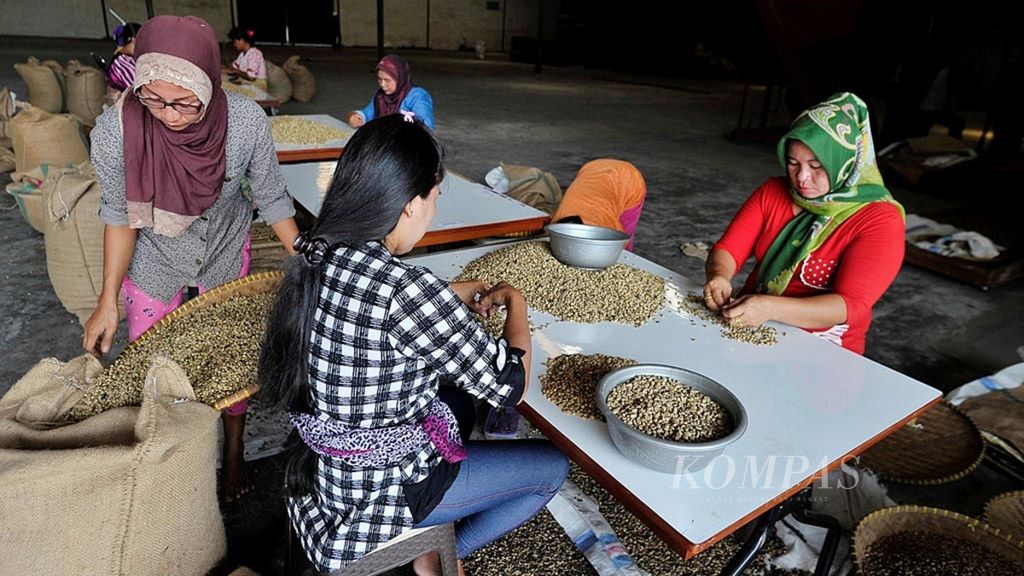 Perempuan buruh menyortir biji kopi kering jenis robusta di gudang pengolahan kopi di kawasan Way Laga, Bandar Lampung, Lampung, Kamis (8/2/2018). Saat masa panen tiba, jumlah perempuan buruh yang bekerja lepas untuk menyortir kopi akan bertambah.