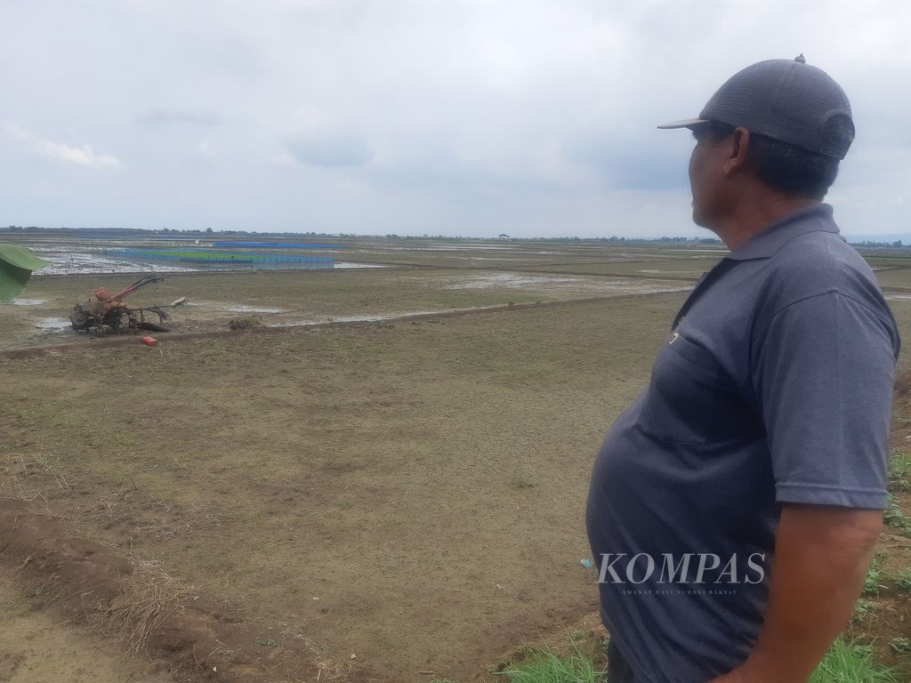 Petani menunjukkan sawah yang belum ditanami padi di Desa Jagapura Wetan, Kecamatan Gegesik, Kabupaten Cirebon, Jawa Barat, Senin (26/2/2024). 