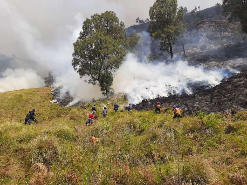 Petugas berupaya memadamkan kebakaran lahan di Taman Nasional Bromo Tengger Semeru di Jawa Timur, Sabtu (2/9/2023).