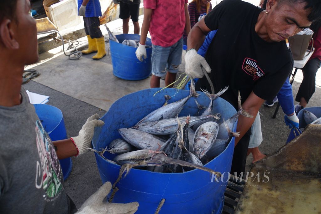 Para pekerja membongkar ikan hasil tangkapan dari Kapal Motor Citra Express 11 berukuran 239 gros ton di Bitung, Sulawesi Utara, Jumat (20/10/2023), dan memuatnya ke peti kemas berpendingin untuk dibawa ke Jakarta. Sepanjang semester I-2023, 21.100 ton ikan didaratkan di PPS Bitung.