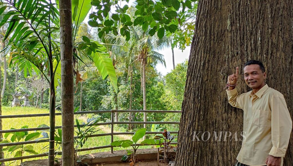 Desa Sudaji di Kabupaten Buleleng menawarkan suasana desa wisata di perdesaan yang masih alami. Pemilik akomodasi wisata Omunity Bali I Ketut Susana menunjukkan suasana perdesaan dari tempat akomodasi wisaya di Desa Sudaji, Buleleng, Minggu (28/5/2023).