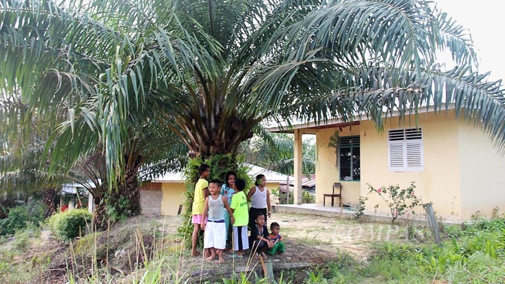 Anak-anak di Kampung Semunying Bungkang, Kabupaten Bengkayang, Kalimantan Barat, bermain di halaman rumah yang dikelilingi perkebunan sawit, Rabu (26/9/2018). Mereka tidak memiliki banyak tempat bermain karena lingkungan sekitar permukiman mereka dikelilingi perkebunan sawit.