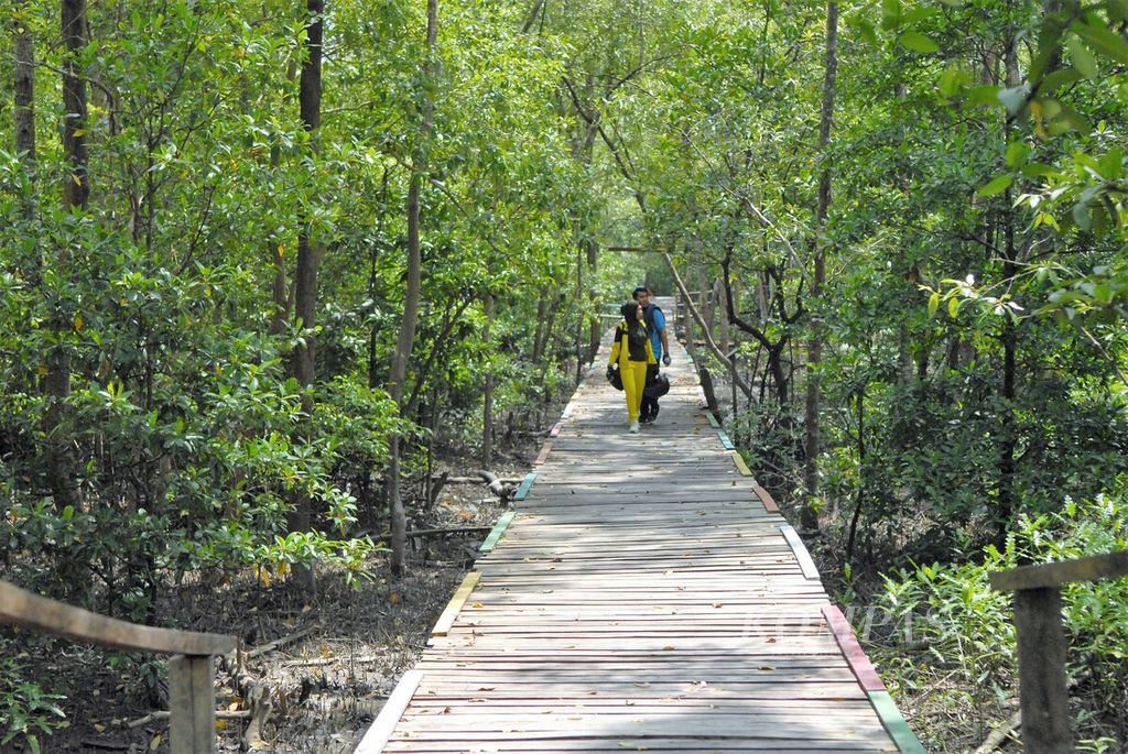 Pengunjung melintasi jalur ekowisata Hutan Mangrove Pangkal Babu, Tanjung Jabung Timur, Jambi, Minggu (2/4/2023). Tumbuhnya ekowisata merupakan buah dari perjuangan masyarakat melestarikan ekosistem bakau. 
