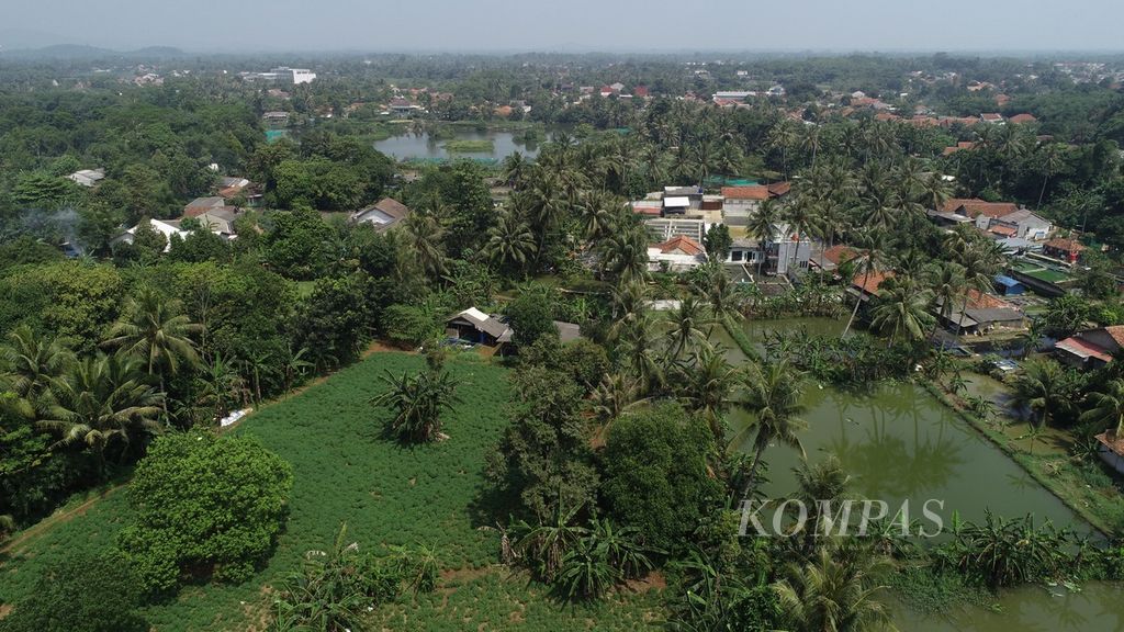 Pohon kelapa banyak tumbuh di Cogrek, Bogor, Jawa Barat, Kamis (31/3/2022). 