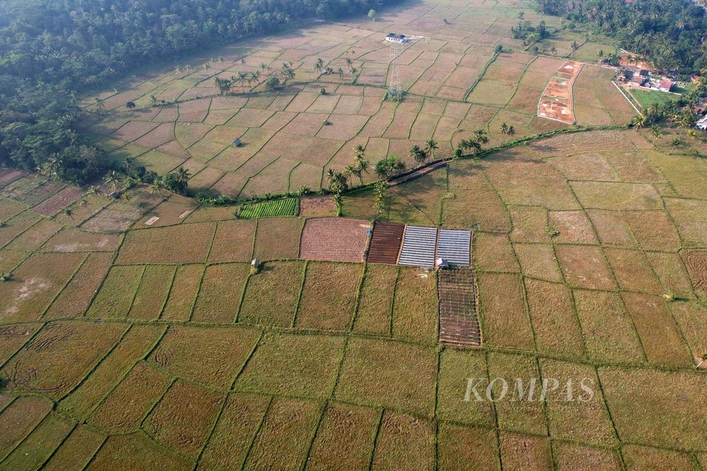 Lanskap sebagian besar lahan pertanian di kawasan Carita, Pandeglang, Banten, dibiarkan bera setelah musim panen padi selesai, Selasa (29/8/2023). Akibat kekurangan air karena terjadinya El Nino, produktivitas gabah pada musim panen gadu berpotensi menurun.