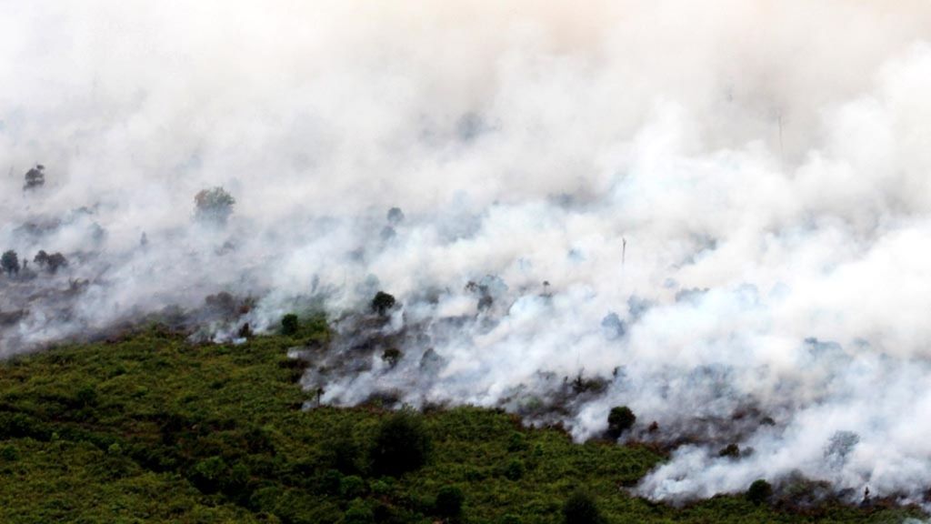 Kebakaran terjadi di Desa Muara Medak, Kecamatan Bayung Lencir, Kabupaten Musi Banyuasin, Sumatera Selatan, Minggu (29/7/2018). Lima helikopter dikerahkan untuk memadamkan api yang membara di atas lahan gambut tersebut. 