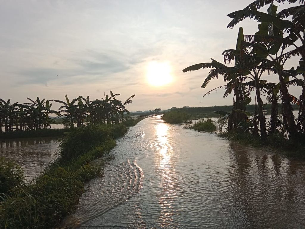 Banjir merendam lahan tanaman bawang merah di Desa Bulumulyo, Kecamatan Batangan, Kabupaten Pati, Jawa Tengah, Jumat (11/3/2022).