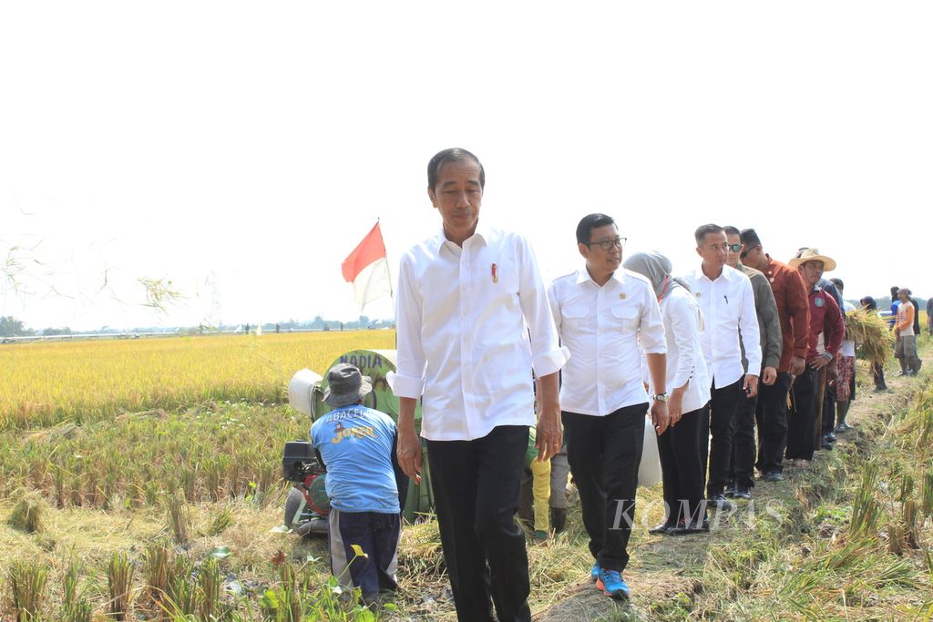Presiden Joko Widodo mengecek panen padi di Desa Karanglayung, Kecamatan Sukra, Kabupaten Indramayu, Jawa Barat, Jumat (13/10/2023). 