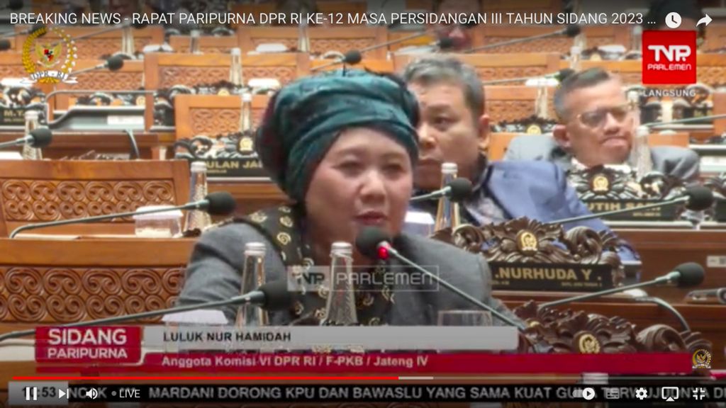Anggota Komisi VI DPR dari Fraksi PKB, Luluk Nur Hamidah.