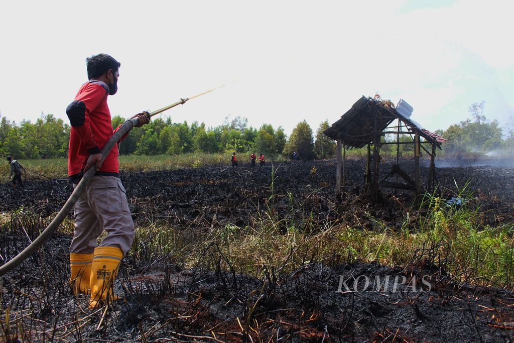 Petugas dari tim gabungan pemadam kebakaran lahan di Kota Palangkaraya memadamkan api yang menghanguskan tanah kavling di Jalan Kalibata, Kota Palangkaraya, Kalimantan Tengah, Senin (14/8/2023).