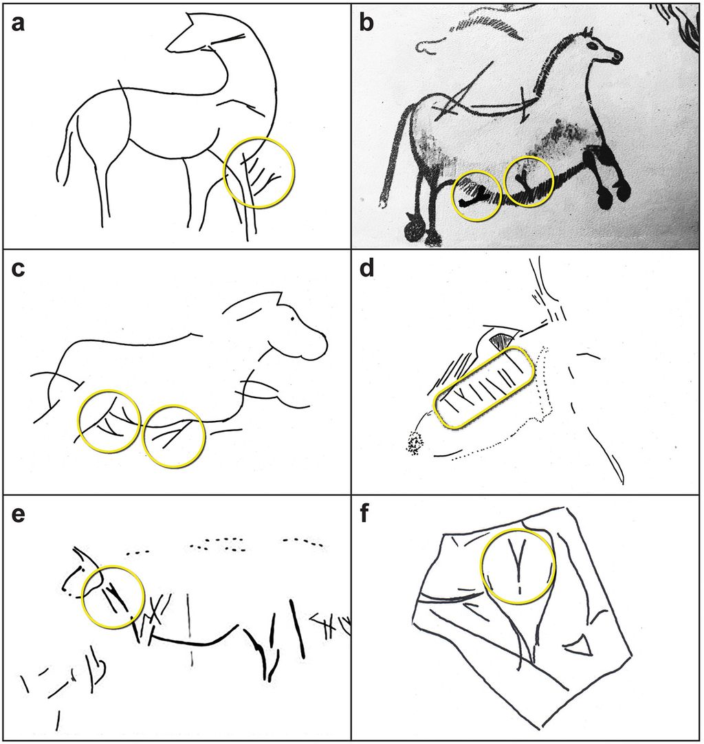 Contoh penggambaran hewan yang berhubungan dengan urutan pola Y  dalam sejumlah lukisan goa prasejarah yang ditemukan di Eropa. Sumber: Bennett Bacon, dkk. (Cambridge Archaeological Journal, 2023)