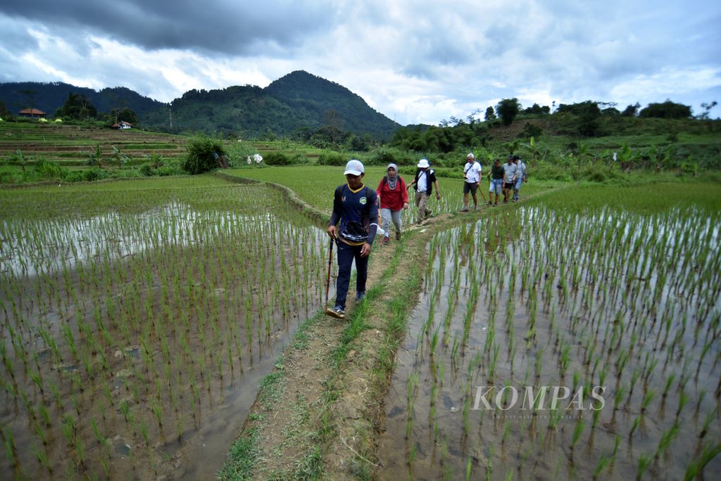 Para tamu peserta <i>trekking</i> melakukan <i>trekking </i>di salah satu jalur di kawasan Sentul, Kecamatan Babakan Madang, Kabupaten Bogor, Jawa Barat, Sabtu (19/11/2022). 
