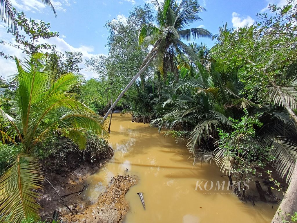 Kondisi Sungai Pemaluan dengan air kecokelatan di Kelurahan Pemaluan, Kecamatan Sepaku, Penajam Paser Utara, Kalimantan Timur, Senin (12/8/2024). Sungai ini berjarak sekitar 25 kilometer dari Istana Presiden di Ibu Kota Nusantara (IKN).