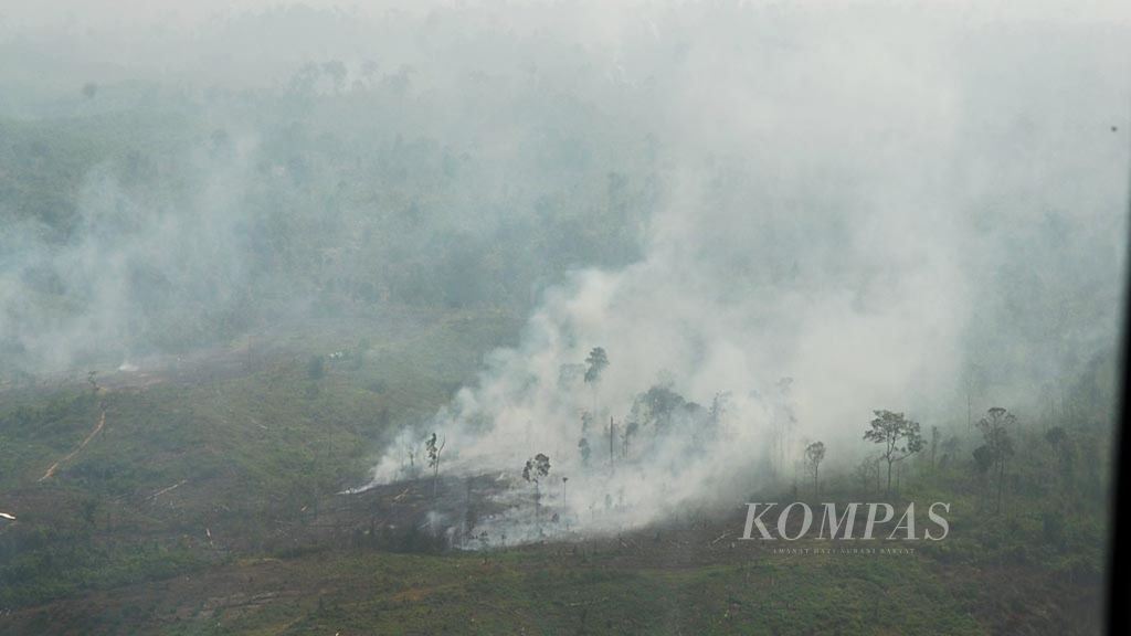 Kebakaran lahan menyebar di hamparan ekosistem Bukit Tigapuluh, Kabupaten Tebo, Jambi, Rabu (19/8/2015).
