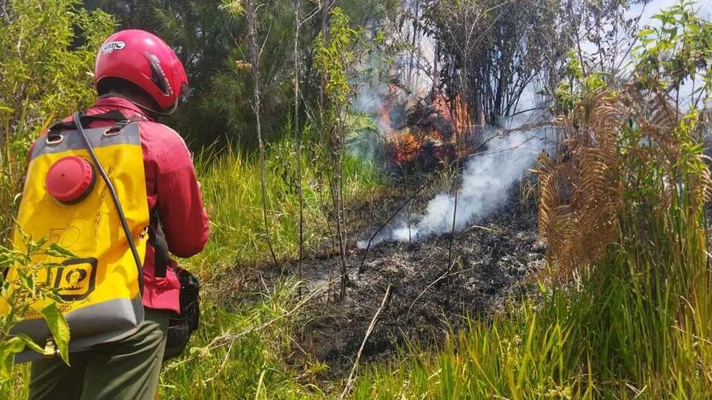 Tim tengah memadamkan titik api di wilayah Taman Nasional Bromo Tengger Semeru di Jawa Timur, Sabtu (19/8/2023). Api di kawasan Blok Oro-oro Ombo, Lumajang, terpantau sejak 18 Agustus.