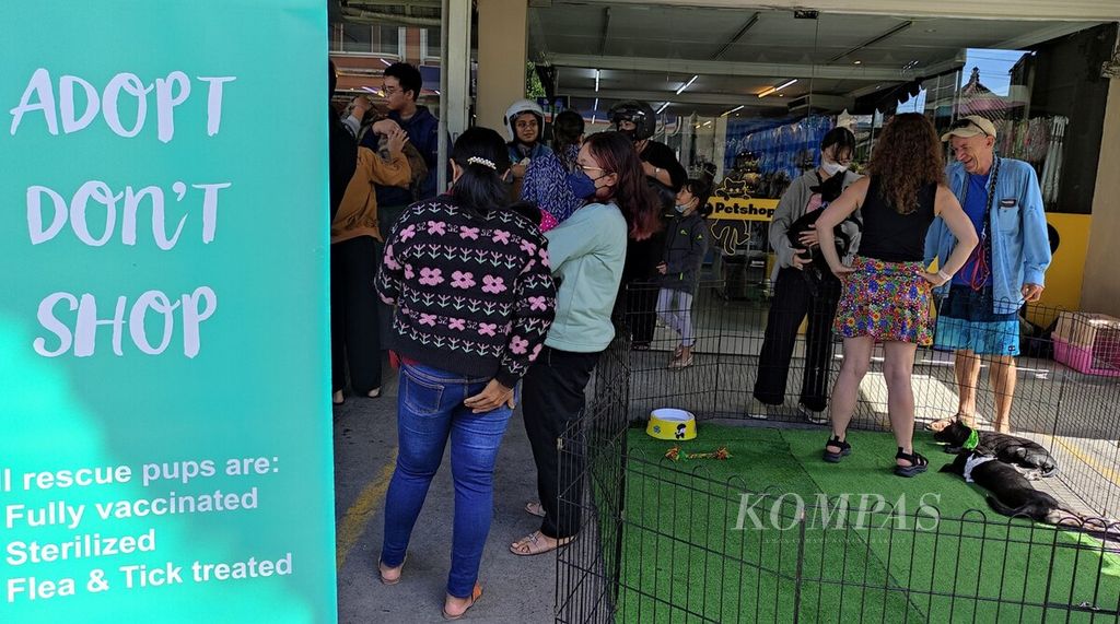Warga mendatangi kegiatan adopsi telantar, khususnya anjing dan kucing, di sebuah toko hewan di Kota Denpasar, Bali, Minggu (9/7/2023). Minat memelihara anjing atau hewan masih besar meskipun Bali belum terbebas dari rabies.