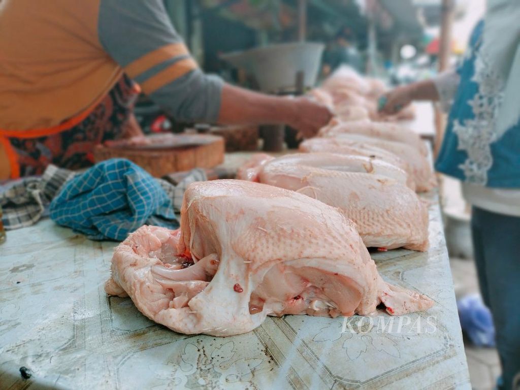 Transaksi perdagangan ayam berlangsung di Pasar Tegalrejo, Kabupaten Magelang, Senin (11/3/2024). Harga ayam di Magelang saat ini berkisar Rp 37.000-Rp 40.000 per kg.