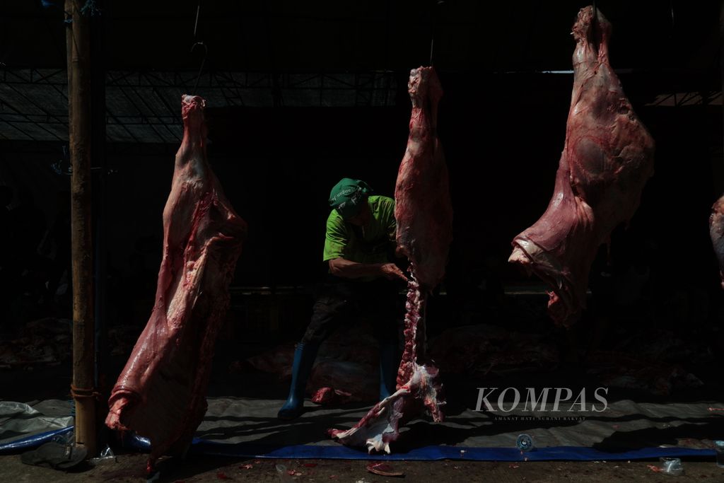 Petugas memotong daging sapi kurban di Rumah Pemotongan Hewan (RPH) Tapos, Depok, Jawa Barat, Kamis (29/6/2023). Pemotongan hewan kurban di RPH dinilai lebih efektif dan mempermudah orang yang berkurban.