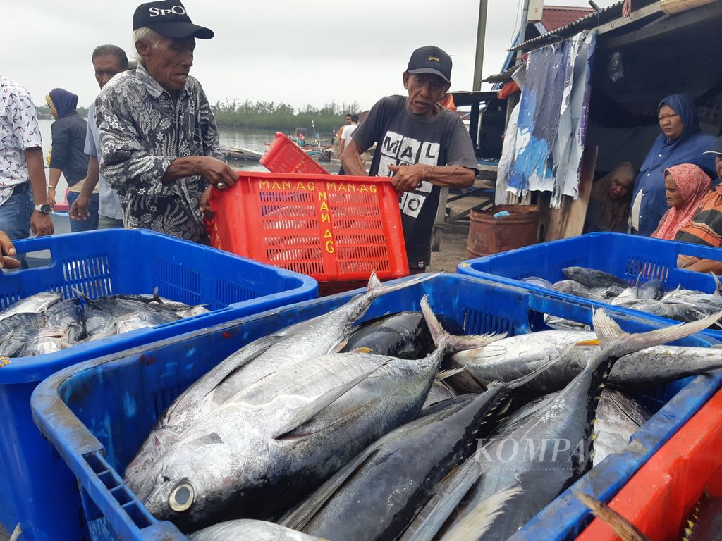 Nelayan mengangkut ikan menuju gudang penyimpanan di kawasan Pelabuhan Perikanan Pulau Baai, Bengkulu, Selasa (14/11/2023). 