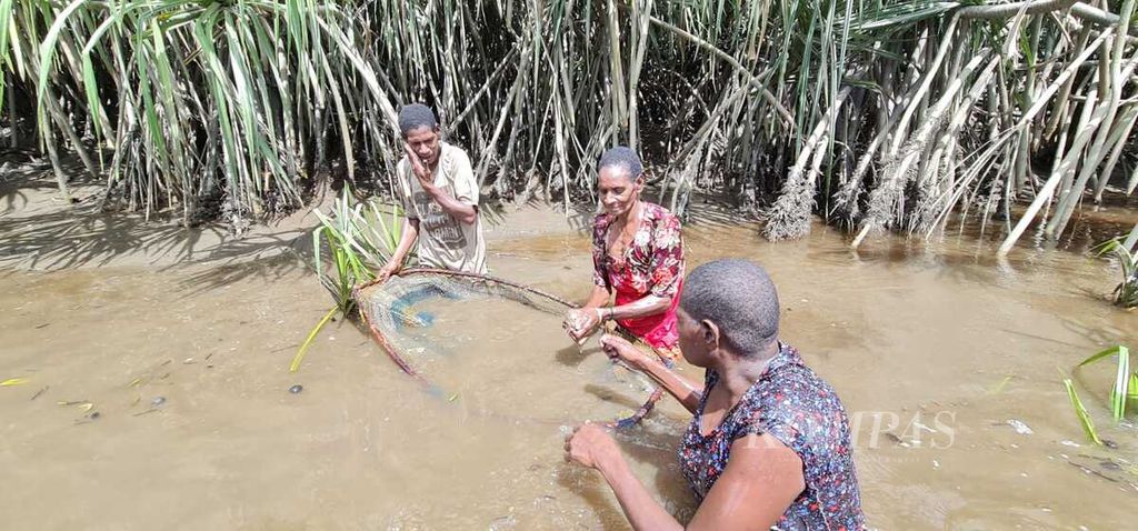Sejumlah ibu-ibu di Kampung Damen, Distrik Siret, Asmat, Papua, mencari ikan di sungai di sekitar kampung, Selasa (21/6/2022).