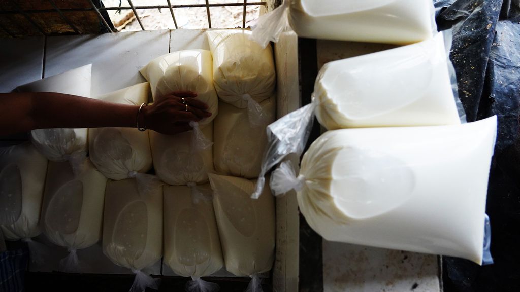 Susu murni hasil perahan Somad (38) salah satu peternak sapi perah di Kampung Pacilong, Kelurahan Kebon Pedes, Kecamatan Tanah Sareal, Koata Bogor, Jawa Barat, yang dibeli seorang pedagang susu murni, Senin (12/10/2020). 