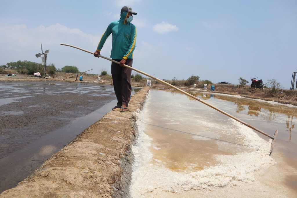 Petani menggarap tambak garam di Desa Rawaurip, Kecamatan Pangenan, Kabupaten Cirebon, Jawa Barat, Jumat (8/10/2021). 