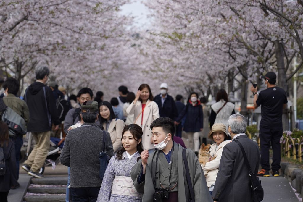 Warga tengah berjalan-jalan di bawah deretan bunga Sakura. Foto diambil pada Minggu (2/4/2023) di Kamakura, tak jauh dari Tokyo, Jepang.