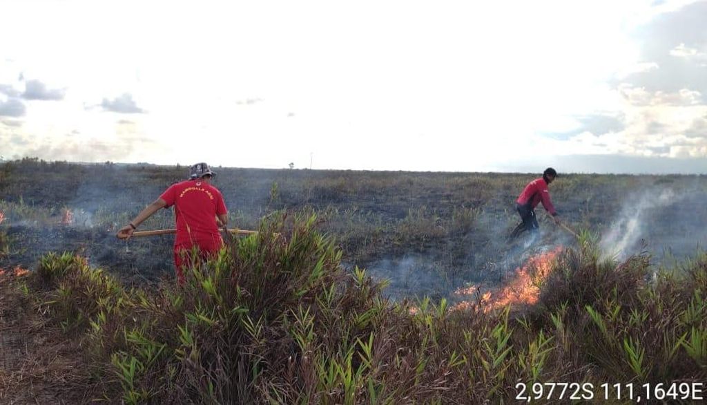 Tak ada hujan selama beberapa hari, 5 hektar lahan kering di Kabupaten Sukamara, Kalimantan Tengah, dilahap api pada Minggu (8/5/2022).