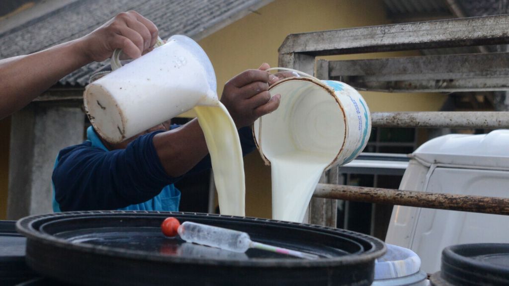 Petugas koperasi unit desa dan peternak (kiri) menuangkan susu ke drum penampungan di Dusun Watesari, Desa Sruni, Musuk, Boyolali, Jawa Tengah, Rabu (12/6/2019).