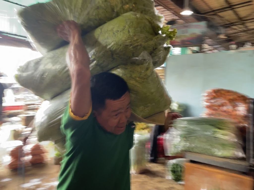 Mistar (56), a porter from Bogor, West Java, is carrying chicory which will be sold by traders at the Kramat Jati Main Market, East Jakarta, Wednesday (8/3/2023).