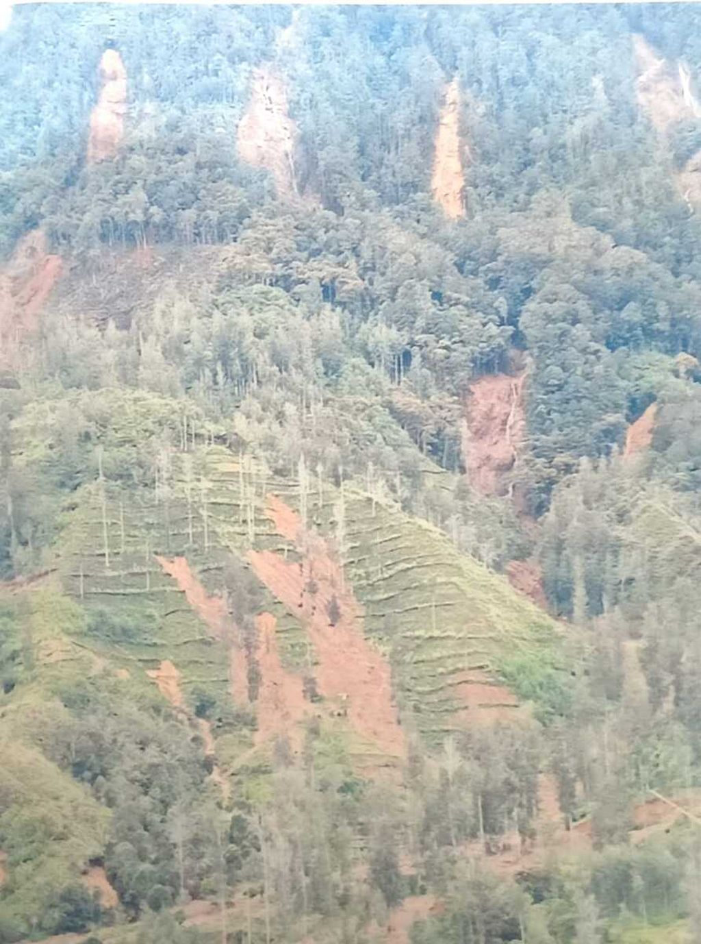 Perbukitan yang longsor di Distrik Sugapa, Kabupaten Intan Jaya, Papua Tengah, Selasa (6/2/2024).