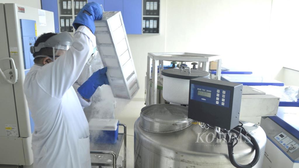 Penelitian sel punca di laboratorium Unit Pelayanan Terpadu Teknologi Kedokteran Sel Punca RSCM-FKUI, Jakarta, Kamis (8/9). 