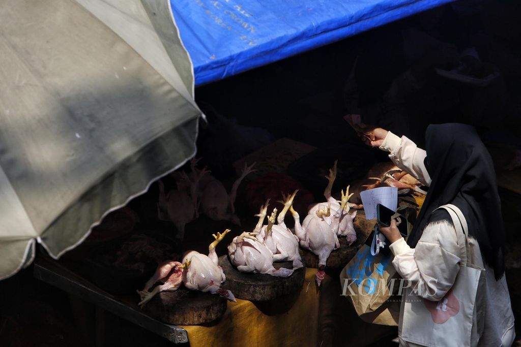 Pelanggan sedang berbelanja ayam broiler di Pasar Kebayoran Lama, Jakarta Selatan, Senin (3/7/2023). Melonjaknya harga daging ayam hingga kisaran Rp 50.000 per kilogram, menurut rilis yang dikeluarkan BPS, menjadi salah satu penyumbang inflasi pada Juni 2023. 