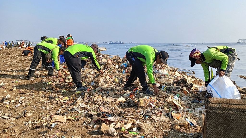 Pasukan hijau mengumpulkan sampah di pesisir Muara Kali Adem, Penjaringan, Jakarta Utara, Sabtu (7/9/2024).