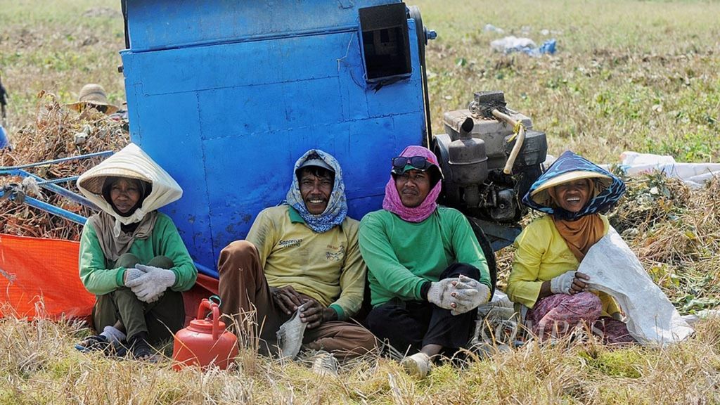 Farm laborers taking a rest during the harvesting of green beans, which is one of the agricultural commodities during the dry season, in the Wonosalam sub-district of Demak regency, Central Java on Tuesday (5/9/2017). The poor quality of life for farmers is caused by various factors including a lack of capital, low value of agricultural products, and inadequate government policies towards farmer welfare.
