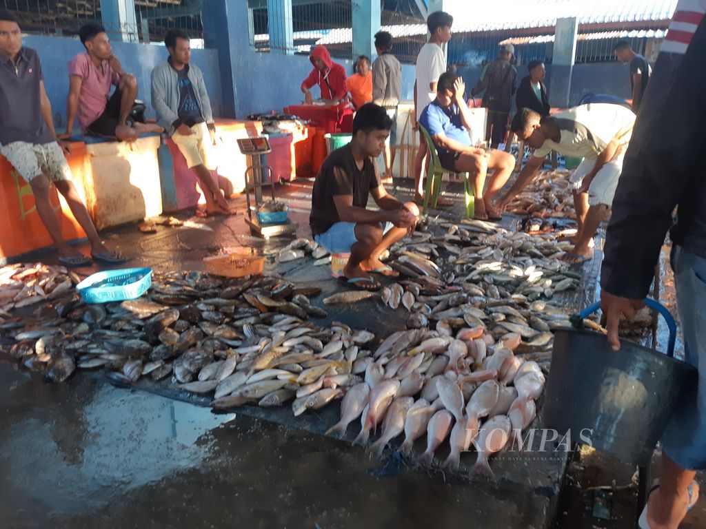 Ikan yang baru didaratkan langsung dijual di pesisir Oeba, Kota Kupang, Nusa Tenggara Timur, Jumat (26/5/2023). Harga ikan di pesisir itu jauh lebih murah.