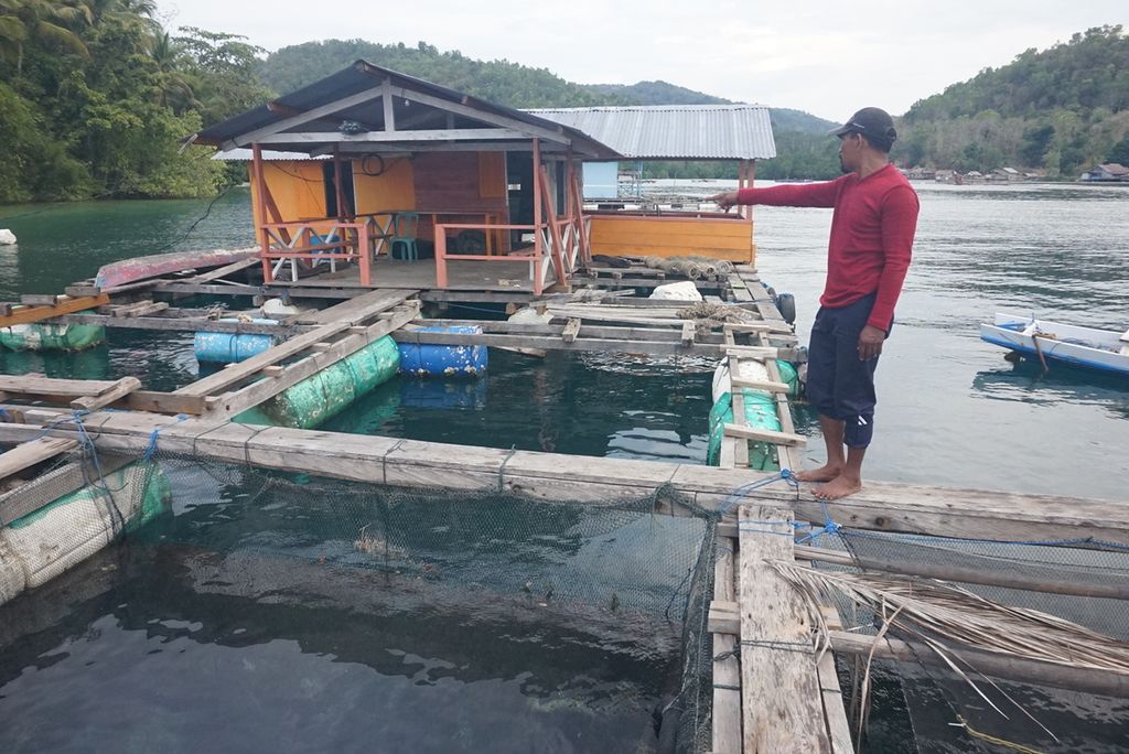 Bahar (47), Ketua Kelompok Nelayan Bintang Fajar, menunjukkan salah satu lokasi keramba pengembangan lobster milik salah satu anggotanya di Desa Soropia, Konawe, Sulawesi Tenggara, Minggu (15/12/2019). Nelayan budidaya lobster di wilayah ini terkendala sulitnya bibit dan kurangnya perhatian pemerintah.