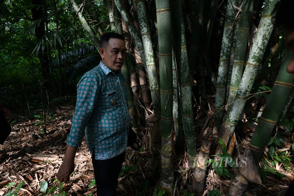 Adi Hendra, Kepala Desa Kemingking Dalam, Kecamatan Taman Rajo, Kabupaten Muaro Jambi, Jambi, menunjukan pohon bambu mayan di salah satu kebun, Kamis (11/7/2024). 