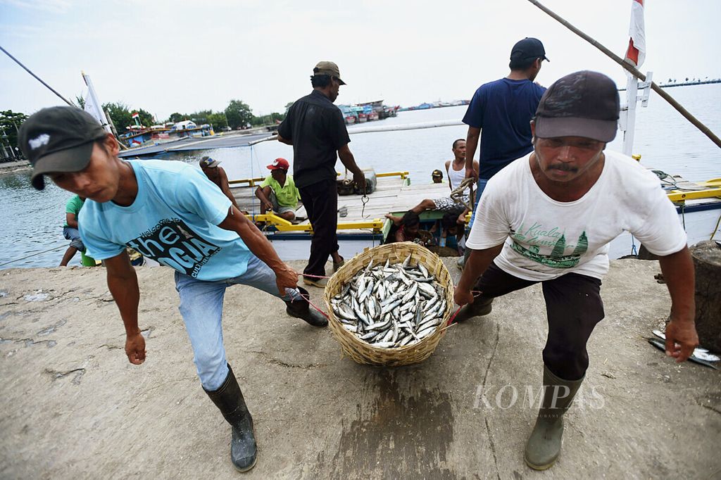 Nelayan membawa ikan hasil tangkapan di laut setelah berlabuh di Tempat Pelelangan Ikan Mayanga, Kota Probolinggo, Jawa Timur, Selasa (16/4/2019). Ikan yang dijual di sana sebagian besar untuk memasok kebutuhan akan ikan di Surabaya.