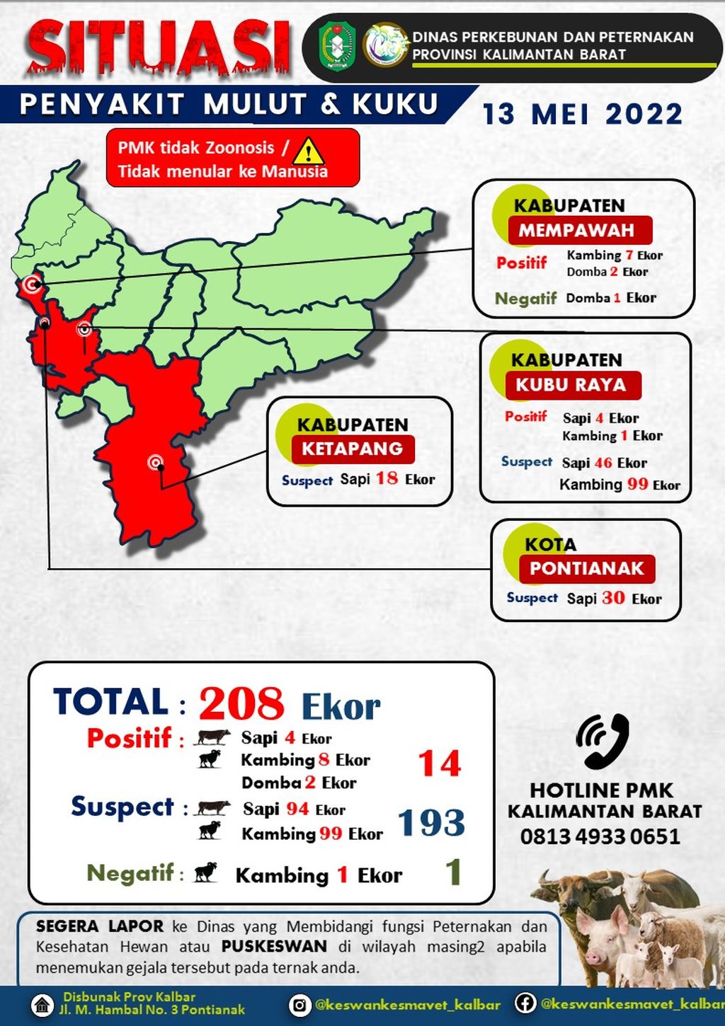 Data kasus penyakit mulut dan kuku pada ternak yang terjadi di Kalimantan Barat hingga Jumat (13/5/2022) malam.